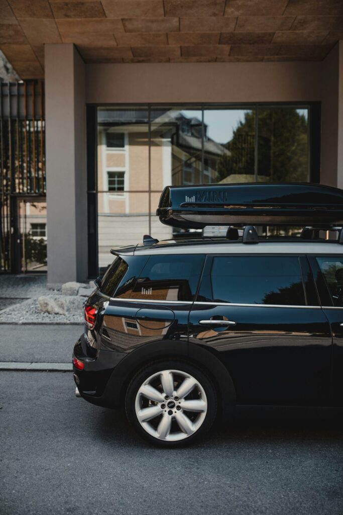 Dachbox mini 250